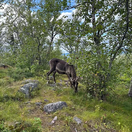 Heartline Villa, Alppitalo Levikeskuksessa * Levi