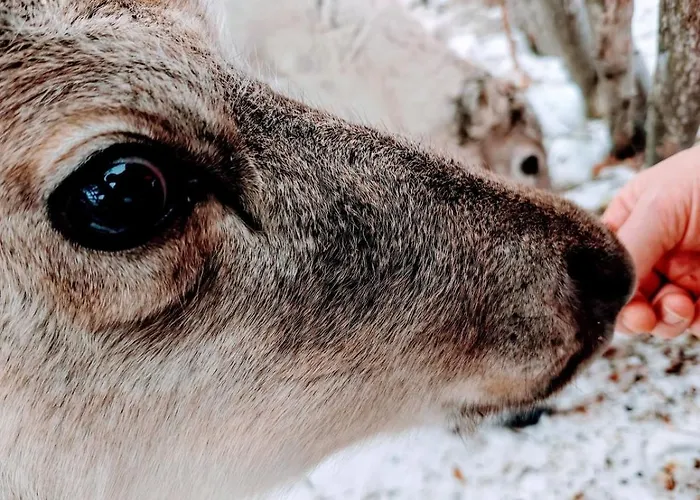 Heartline Villa, Alppitalo Levikeskuksessa דירה