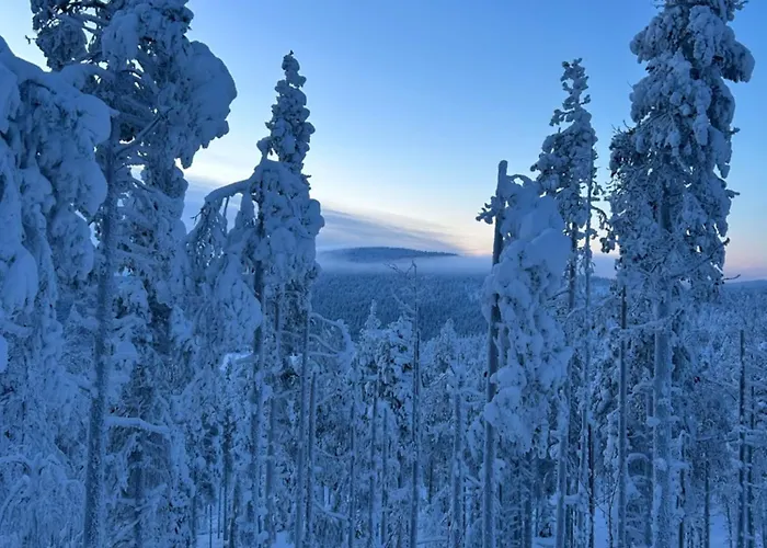 Heartline Villa, Alppitalo Levikeskuksessa *